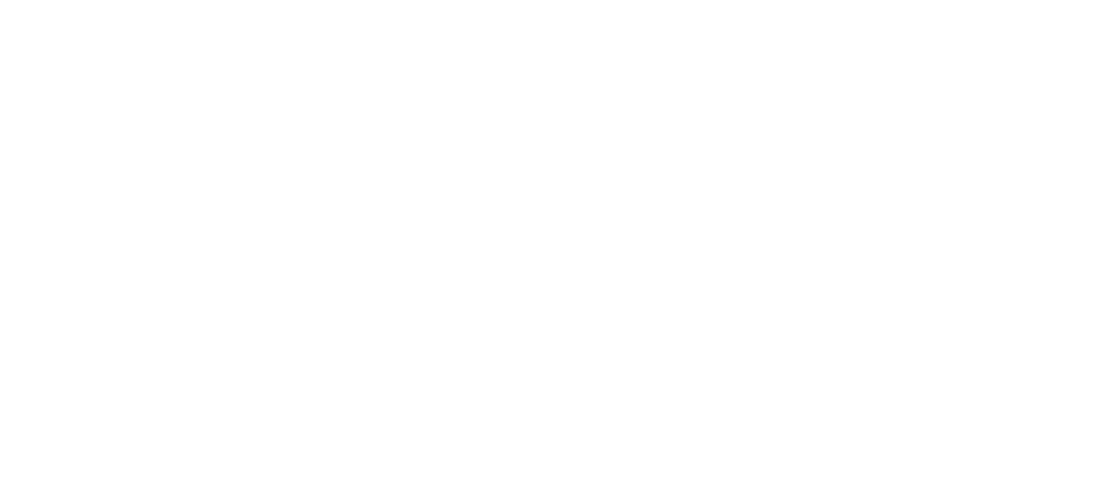 GMES logo